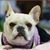 George E. Jeffers's profile image