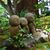 Priyanuch Bhuthong's profile image