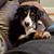 Belle Lott's profile image