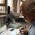 Stephen F. Gallant's profile image