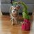 Gail Brown's profile image