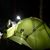 Elliott James's profile image