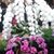 Cathy Greenhill's profile image