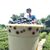 林坤儀's profile image
