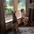 Tracie Selser Lemoine's profile image
