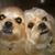 Amy Doidge's profile image