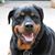 Lyn Sorensen's profile image