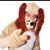 Rodrigo Quiroz's profile image