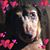 Carrie Harper's profile image