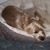 Connie L Stone's profile image