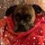 Michelle Ruhl's profile image
