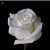 Wanda Freiberg's profile image