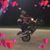 Chris Heinen's profile image