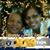 Viv Sotelo's profile image