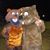 Katie Wolf's profile image