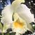Wayne Muller's profile image