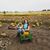 Maria Blaser's profile image