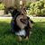 Janae Maher's profile image