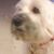 Liliana H.'s profile image