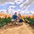 Leah Marie Cordes's profile image