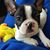 Jacque McSpedon's profile image