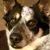 Deb Doney's profile image
