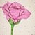 Karen White's profile image