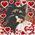 Tracey Ventimiglia's profile image