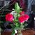 Marilyn Stanke-Bird's profile image