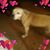Debra Waterman's profile image
