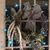 Sheila Fitzgerald Tolley's profile image