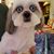 Louise Walls's profile image