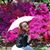 Evelin Boerner's profile image