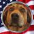 Rhonda Johnson's profile image