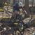 Jane Andraka's profile image