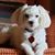 Jane Nusbaum's profile image