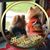Rita Dill Rickrode Gomez's profile image