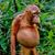 Aaron Hendricksen's profile image