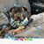 Mary Lingenfield's profile image