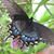 Martha Scott Flowers's profile image
