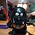 Dee Ann Francell McCutcheon's profile image