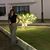 Amanda Marie Zepkoski's profile image