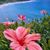 Maria E Hope Hernandez's profile image