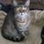Catherine Marie's profile image
