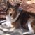 Hugh Newkirk's profile image