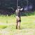 Logan Gentile's profile image