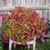 RoseDale Tull's profile image