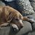 Katharine Lark's profile image