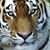 Victoria Parisi Spence's profile image
