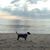 Linda Hudson's profile image